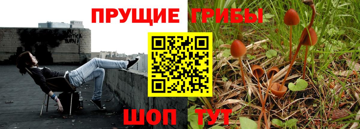 Екатеринбург  Галлюциногенные грибы ЛСД  Вход с VPN 
