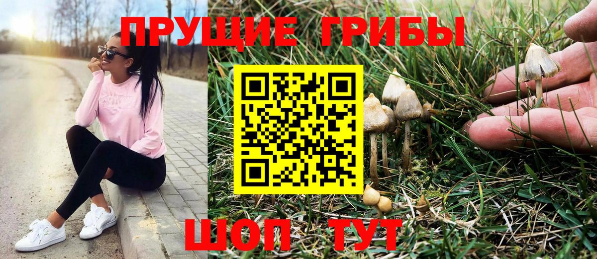 Псилоцибиновые грибы Magic Shrooms Екатеринбург