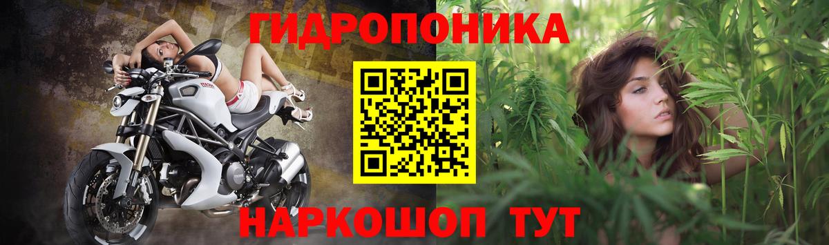 Екатеринбург  МАРИХУАНА Bruce Banner  МАРИХУАНА OG Kush  Вход с VPN  Канабис марихуана  Канабис индика 